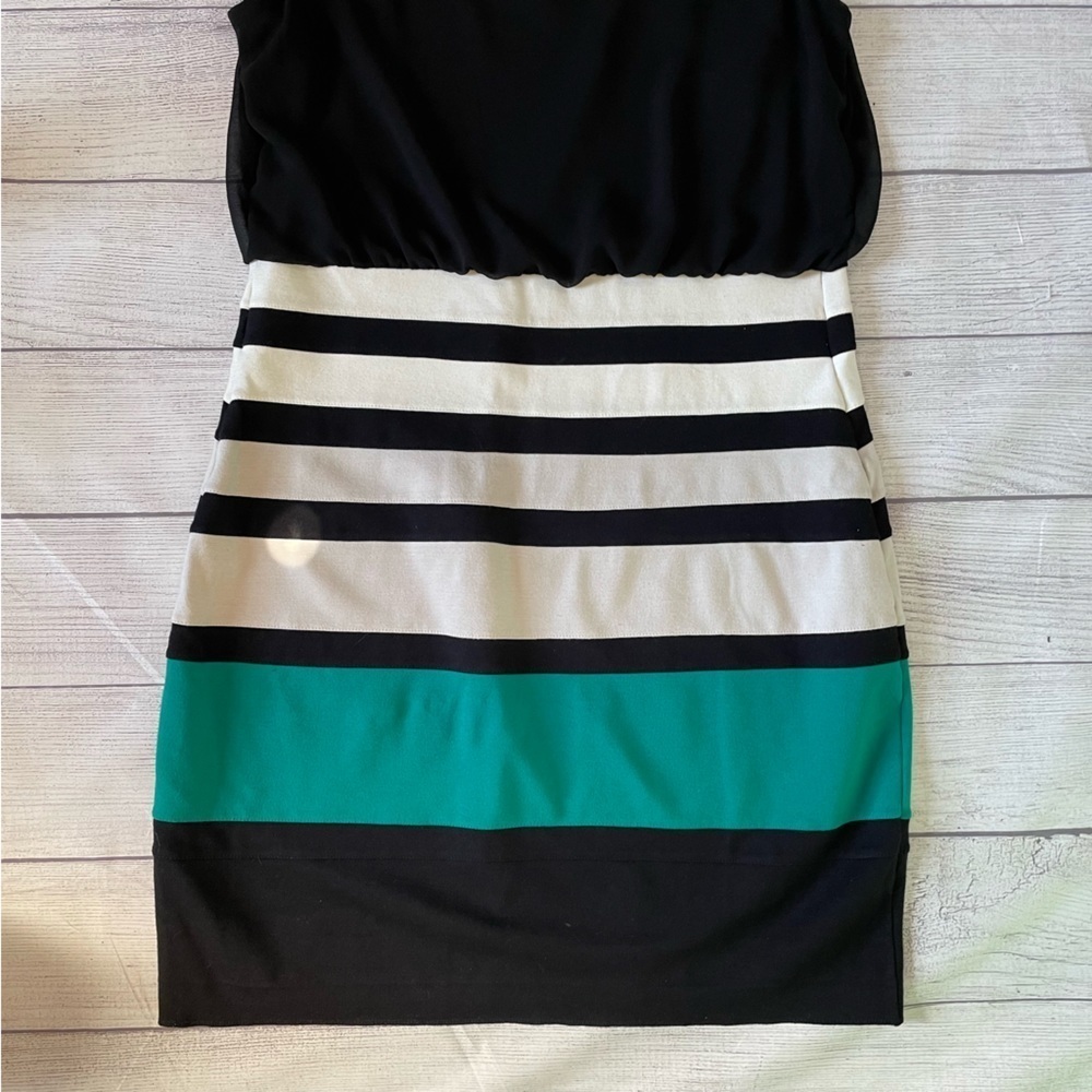 Express Dress - Picture 5 of 7